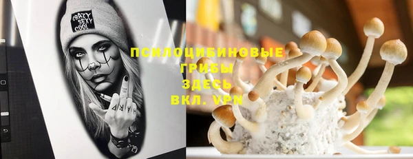 бошки Надым