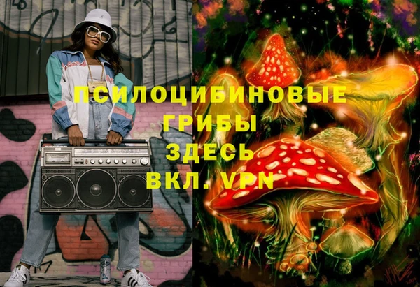 бошки Надым