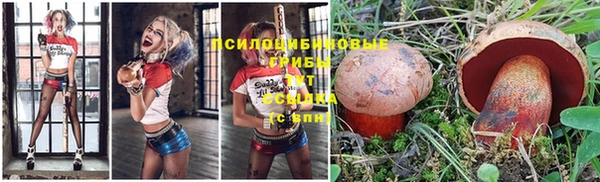 бошки Надым