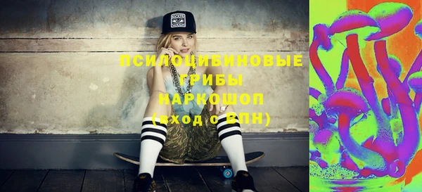 бошки Надым